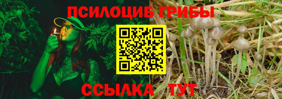Псилоцибиновые грибы MAGIC MUSHROOMS Волгодонск
