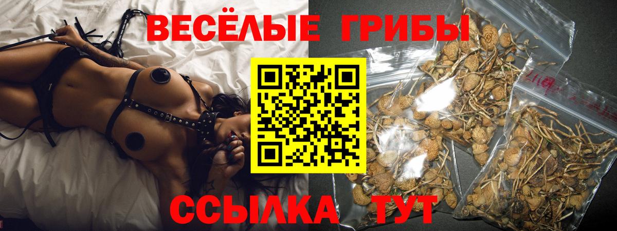 Галлюциногенные грибы Psilocybine cubensis  Вход с VPN  продажа наркотиков  Волгодонск 